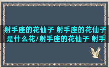 射手座的花仙子 射手座的花仙子是什么花/射手座的花仙子 射手座的花仙子是什么花-我的网站